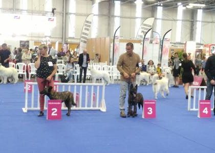 Championnats de France de Conformité au standard à Nantes