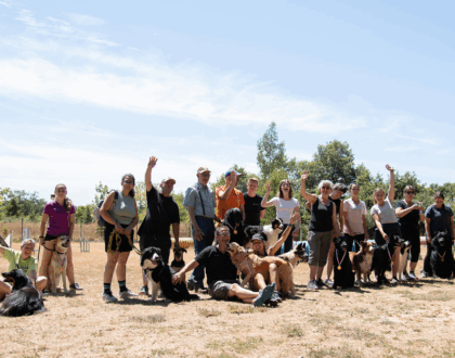 CONCOURS INTERNE AGILITY 05/07/2025